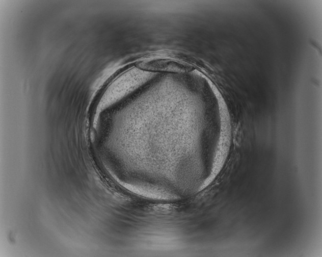 X0000101970152200808081559