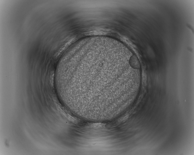 X0000101970153200808081559