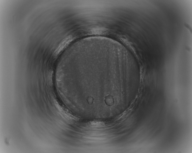 X0000101970154200808081559