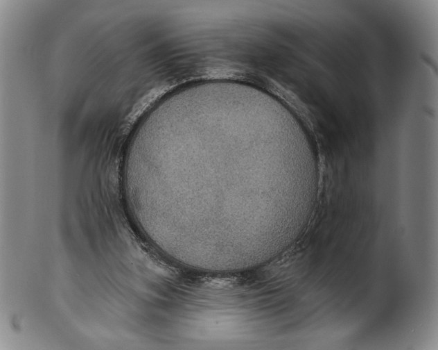 X0000101970155200808081559