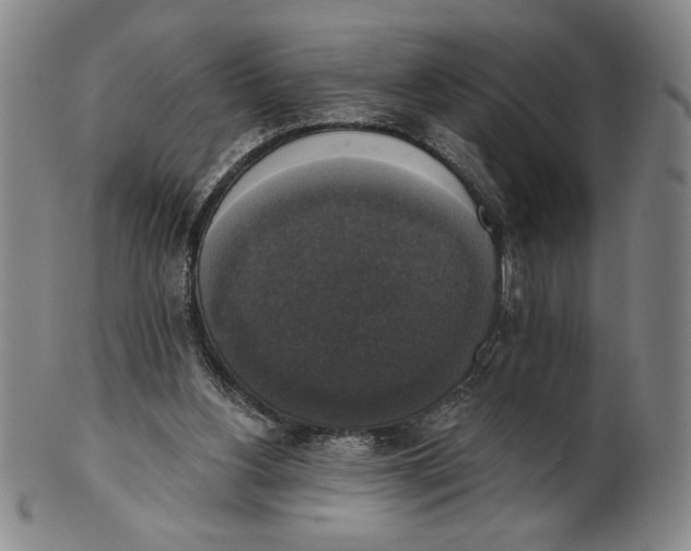 X0000101970156200808081559