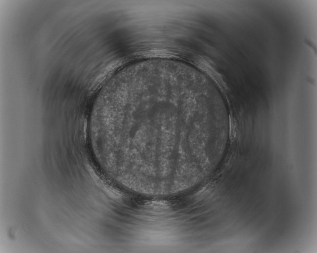 X0000101970157200808081559