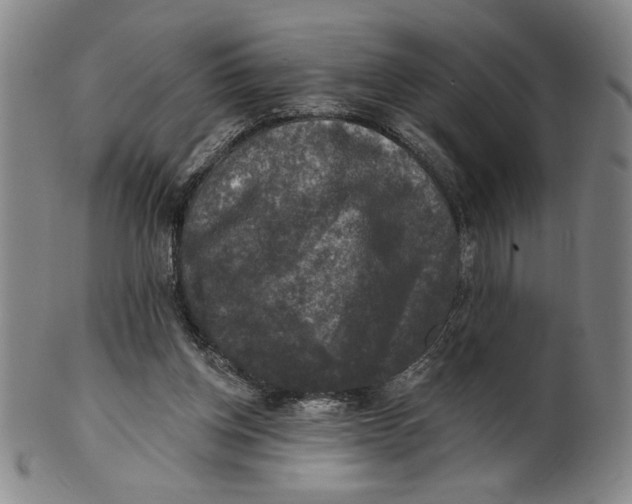X0000101970158200808081559