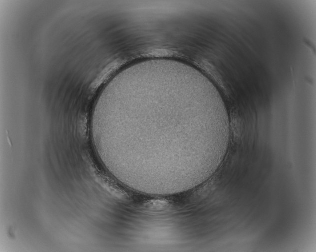 X0000101970159200808081559