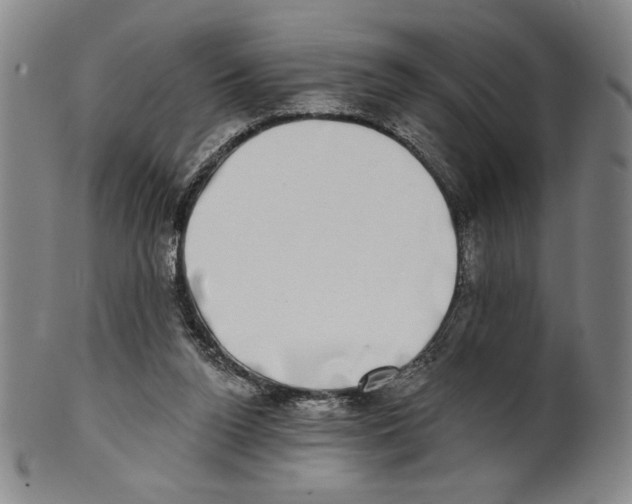 X0000101970160200808081559
