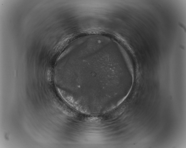 X0000101970161200808081559