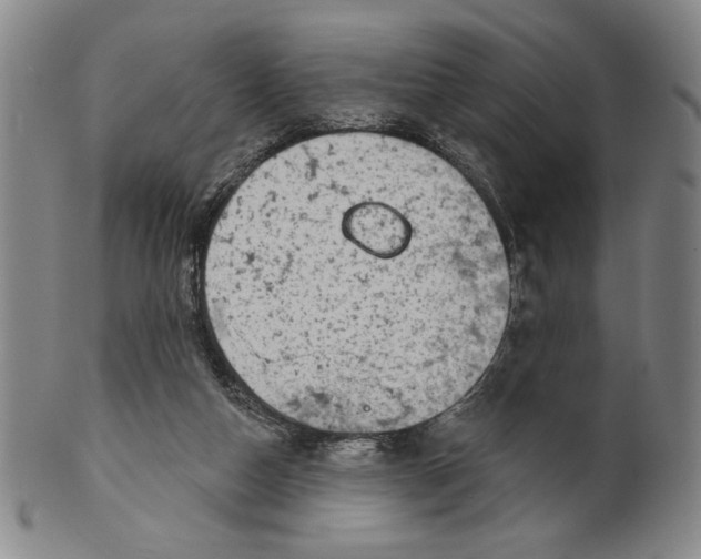 X0000101970162200808081559