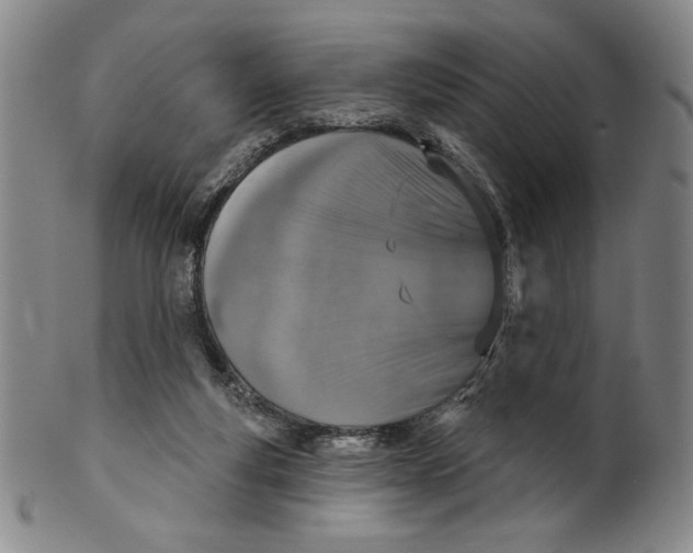 X0000101970163200808081559