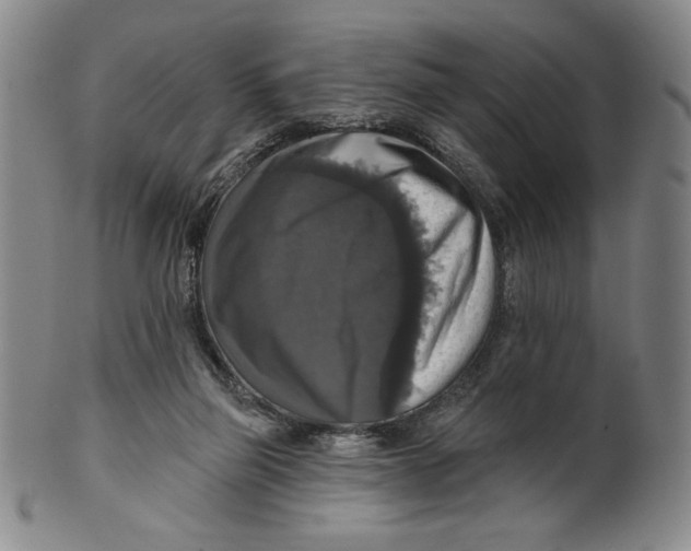 X0000101970165200808081559