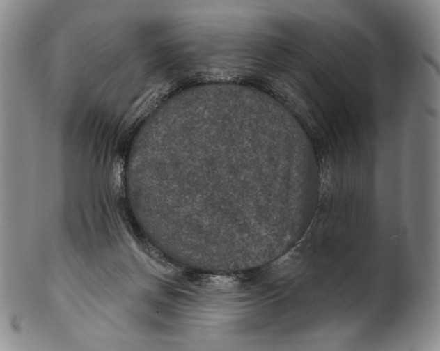 X0000101970166200808081559