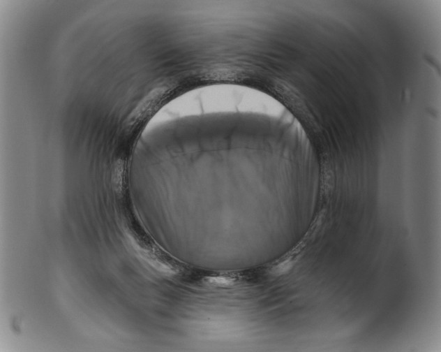 X0000101970167200808081559