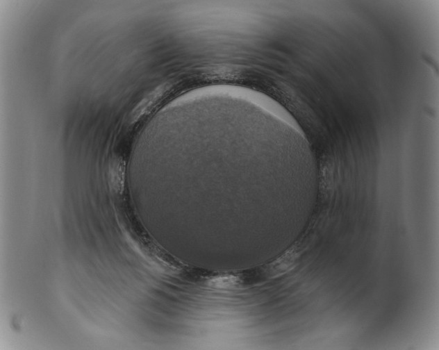 X0000101970168200808081559