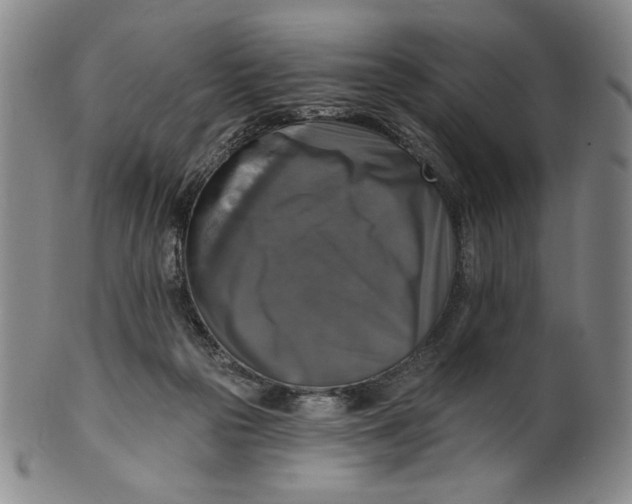 X0000101970169200808081559