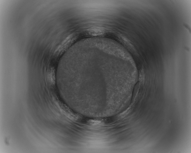 X0000101970170200808081559
