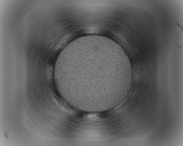 X0000101970171200808081559
