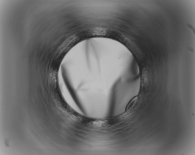 X0000101970172200808081559