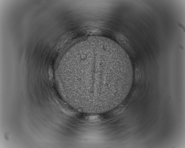 X0000101970173200808081559