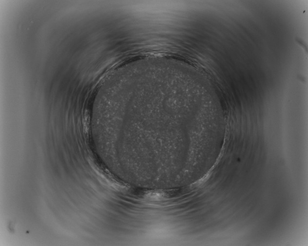 X0000101970174200808081559