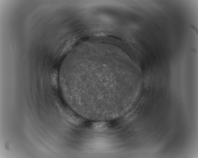 X0000101970175200808081559