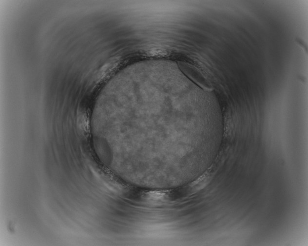 X0000101970176200808081559