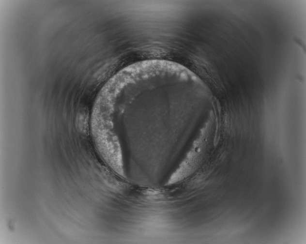 X0000101970177200808081559