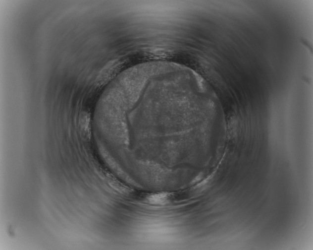 X0000101970178200808081559