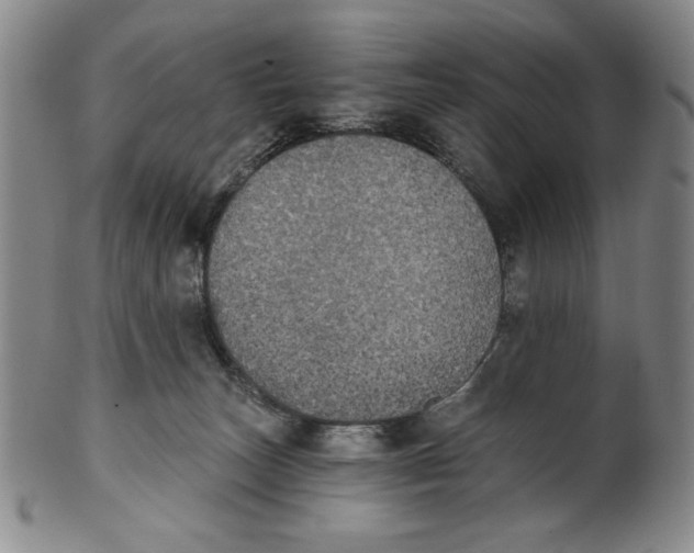 X0000101970179200808081559