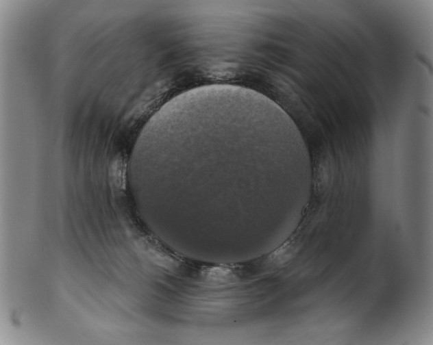 X0000101970180200808081559