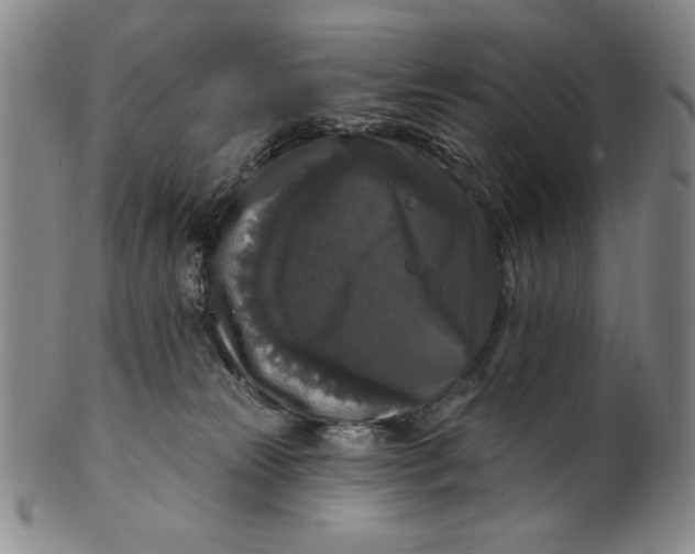 X0000101970181200808081559