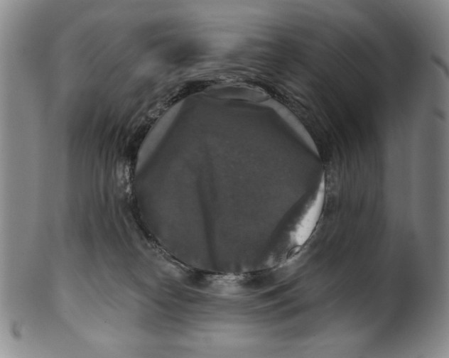 X0000101970182200808081559