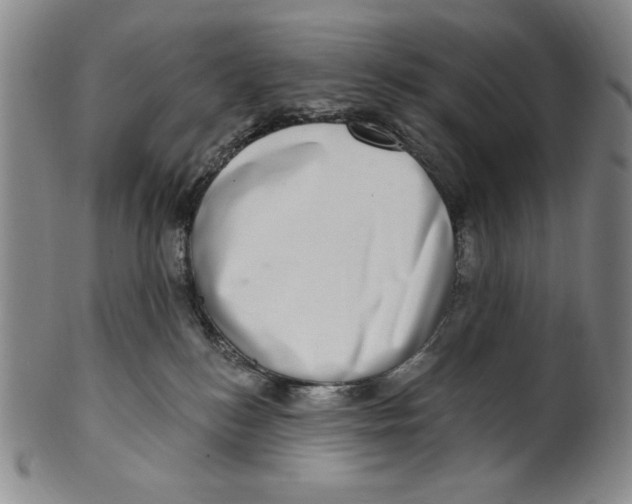 X0000101970184200808081559