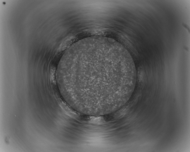X0000101970185200808081559
