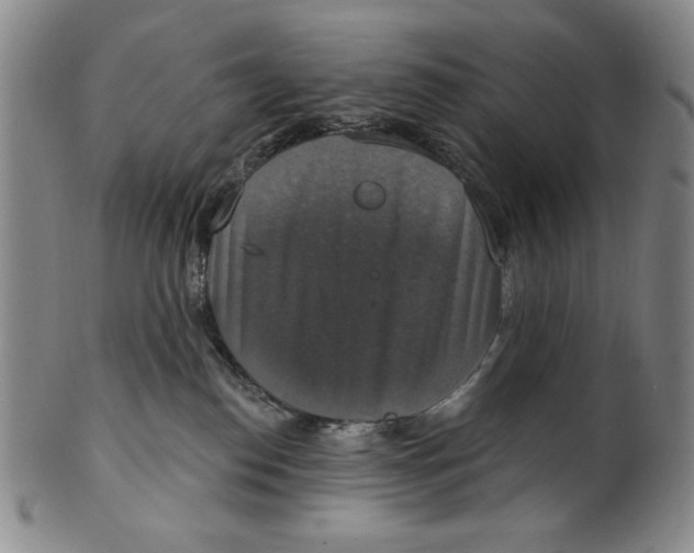 X0000101970186200808081559
