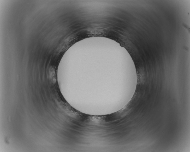X0000101970187200808081559