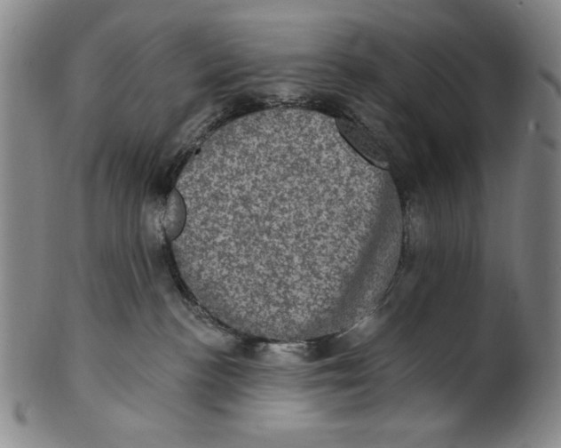 X0000101970188200808081559