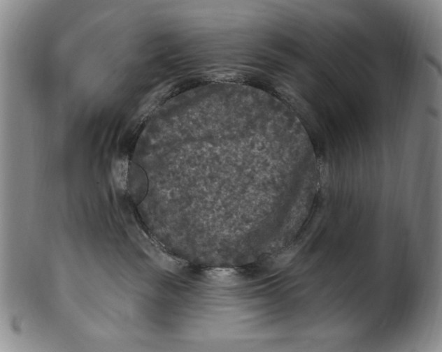 X0000101970189200808081559