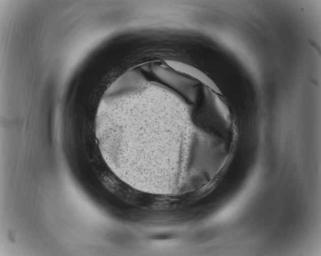 X0000101970190200808081559