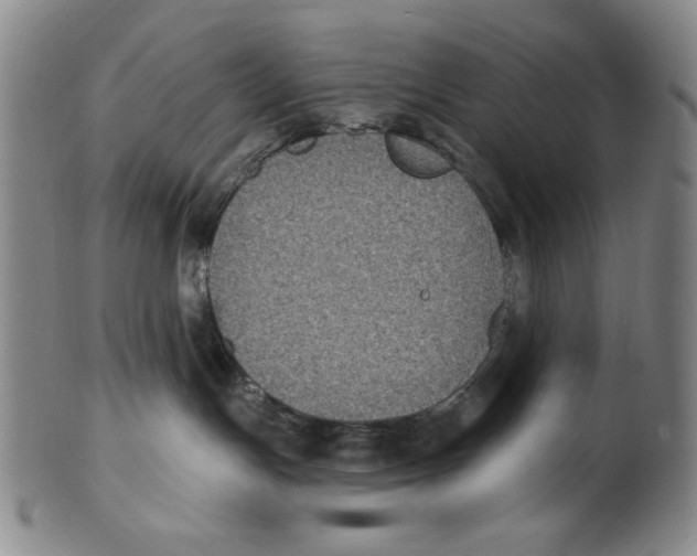 X0000101970191200808081559