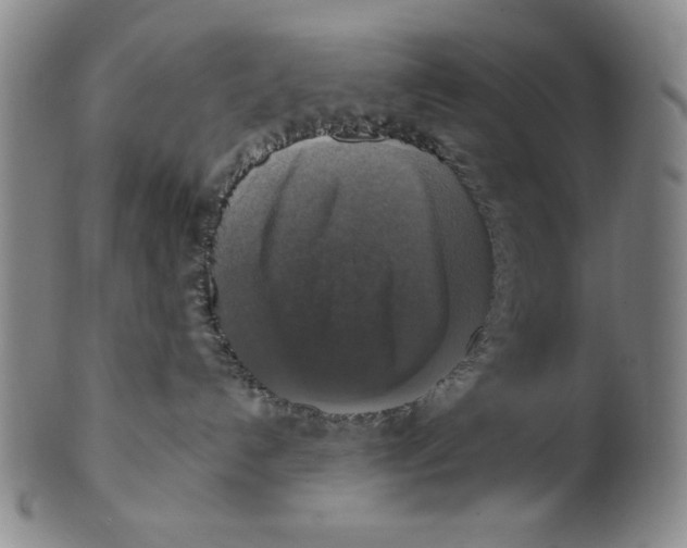 X0000101970192200808081559