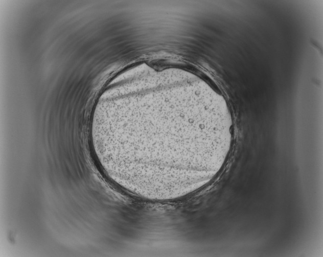 X0000101970193200808081558