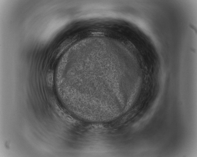 X0000101970194200808081558