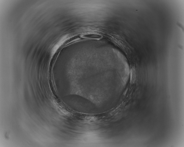 X0000101970195200808081558