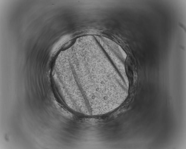 X0000101970197200808081558