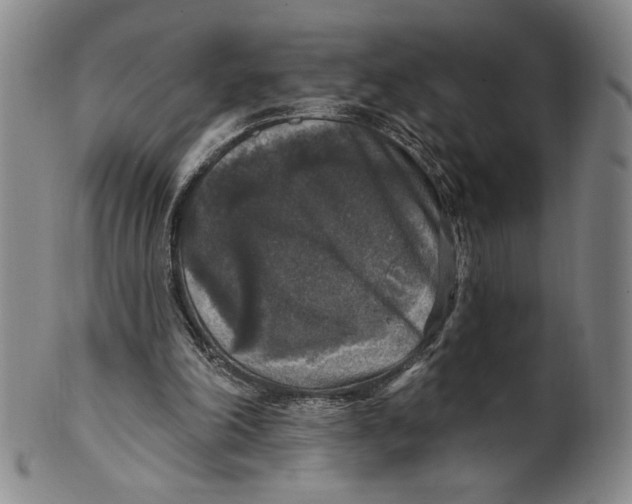 X0000101970198200808081558