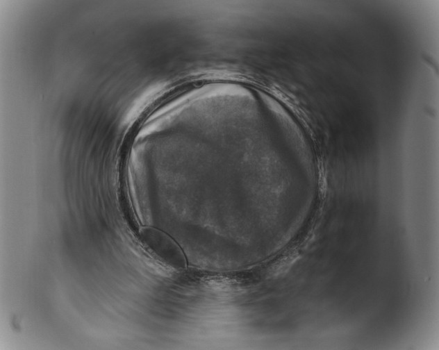 X0000101970199200808081558