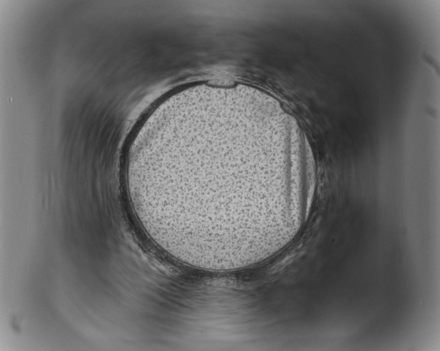 X0000101970200200808081558