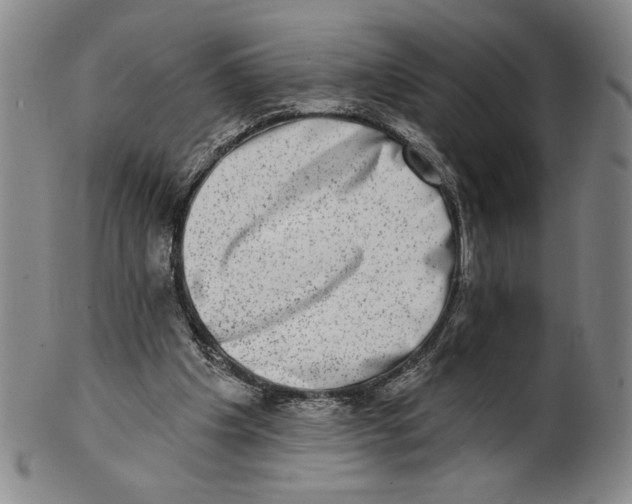 X0000101970201200808081558