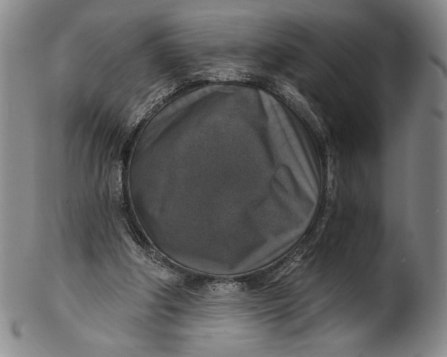 X0000101970202200808081558