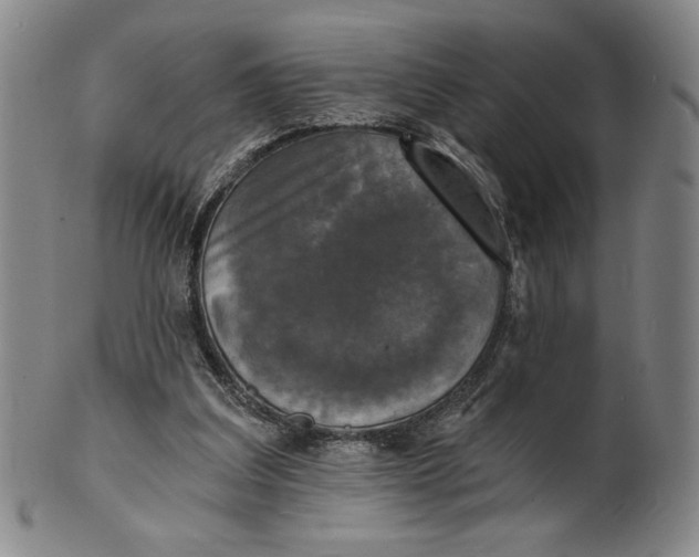 X0000101970203200808081558