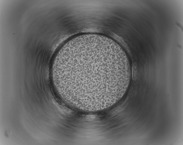 X0000101970204200808081558